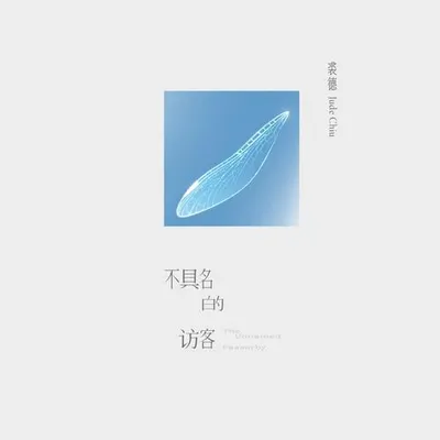 不具名的訪客 專輯封面