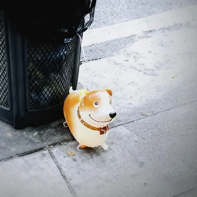 小狗氣球
