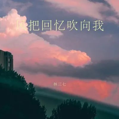 風把回憶吹向我 專輯封面