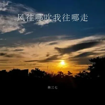風往哪吹我往哪走 專輯封面