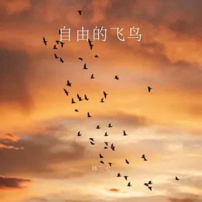 自由的飛鳥 專輯封面