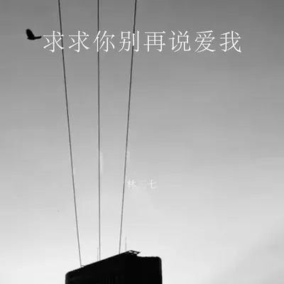 求求你別再說愛我