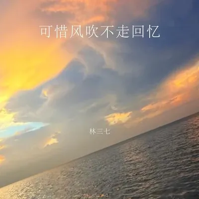 可惜風吹不走回憶