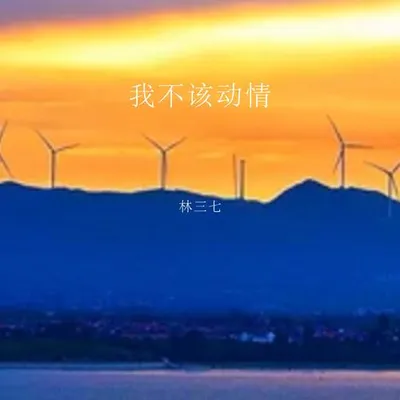 我不該動情