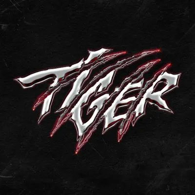 THE BOYZ Special Unit Digital Single [Tiger]