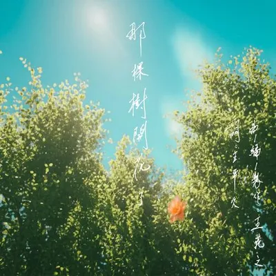 那棵樹開花了