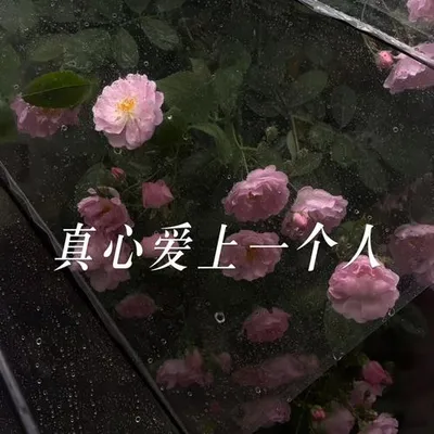 真心愛上一個人（合唱版） 專輯封面