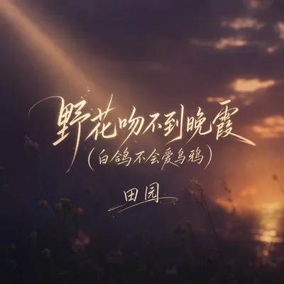 野花吻不到晚霞(白鴿不會愛烏鴉)