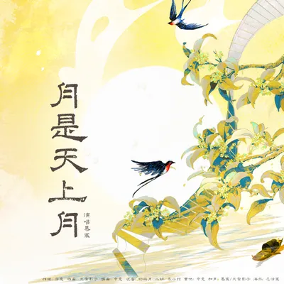 月是天上月
