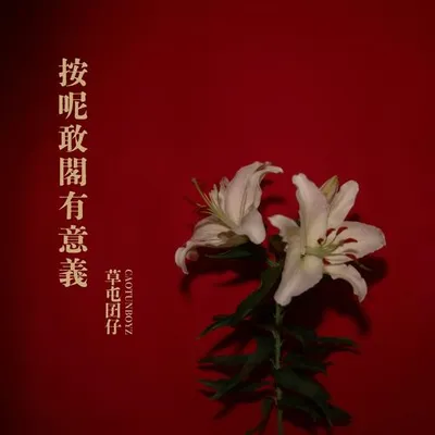 按呢敢閣有意義 專輯封面