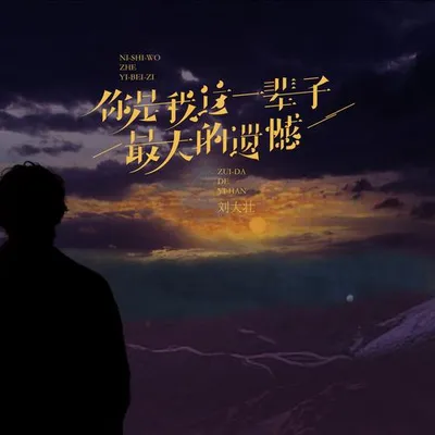 你是我這一輩子最大的遺憾