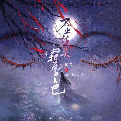 不止枝頭霜雪色 專輯封面