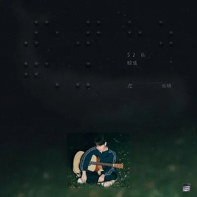 52Hz鯨魚