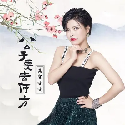 公子要去何方 (丟下我一人)
