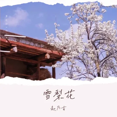 雪梨花 專輯封面