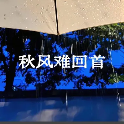 秋風難回首