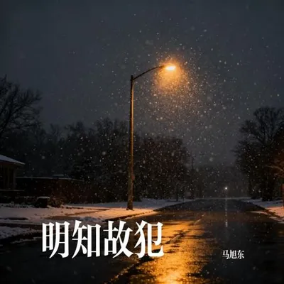明知故犯 專輯封面