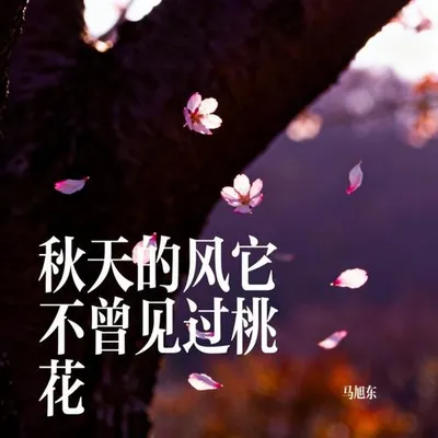 秋天的風它不曾見過桃花 專輯封面