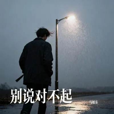 別說對不起 專輯封面