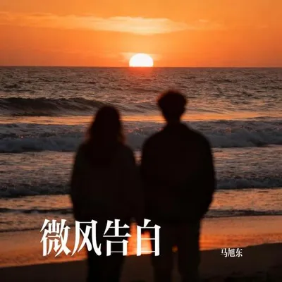 微風告白 專輯封面