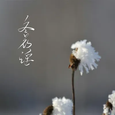 冬花謠