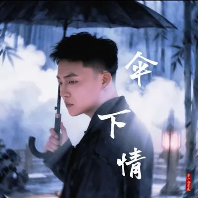 傘下情 專輯封面