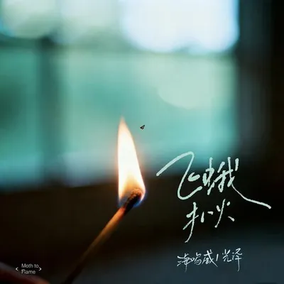 飛蛾撲火