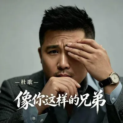像你這樣的兄弟 專輯封面