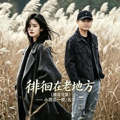 徘徊在老地方(獨自守望） 專輯封面