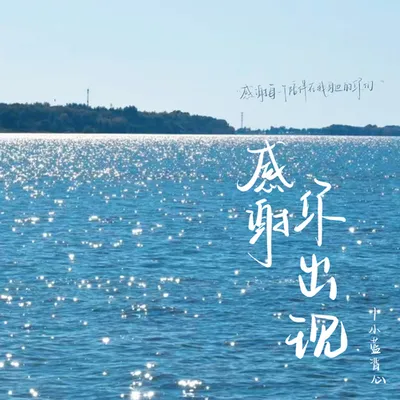 感謝你出現 專輯封面