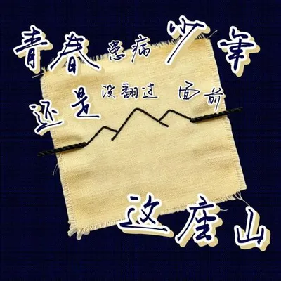 青春患病少年還沒翻過面前這座山 專輯封面