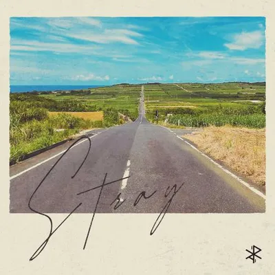 Stray 專輯封面