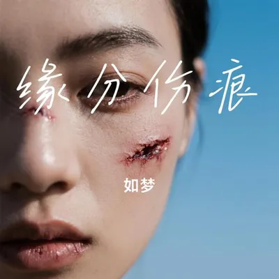 緣分傷痕