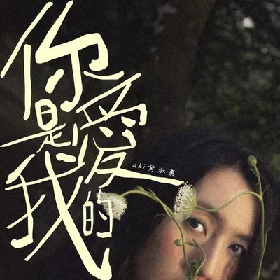 你是愛我的
