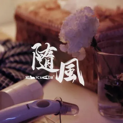 隨風 專輯封面