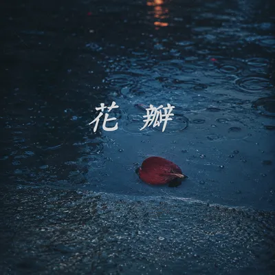 花瓣 專輯封面