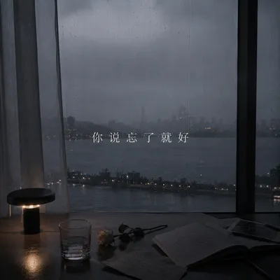 你說忘了就好
