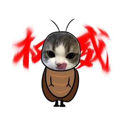 光之國的家 專輯封面