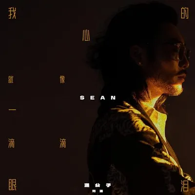 我的心就像一滴滴眼淚 專輯封面