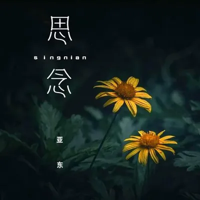 思念