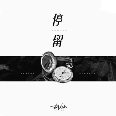 停留 專輯封面