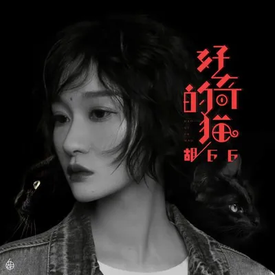 好奇的貓 專輯封面