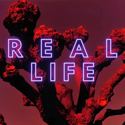 real life 專輯封面