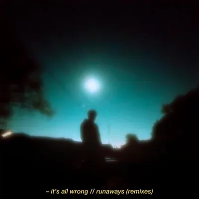 it's all wrong // runaways (remixes) 專輯封面