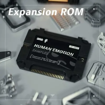 Expansion ROM 專輯封面