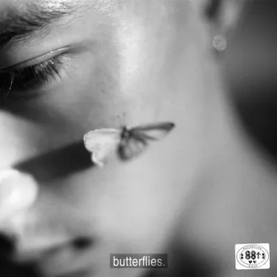 Butterflies 專輯封面