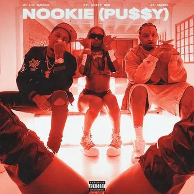 Nookie (Pu$$y) 專輯封面