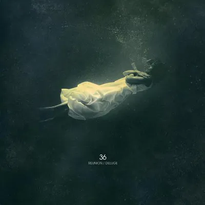 Reunion / Deluge
