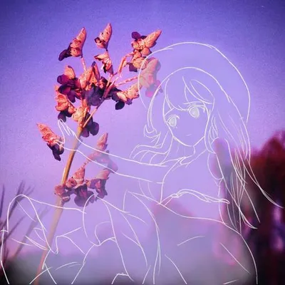 sonnet still 專輯封面