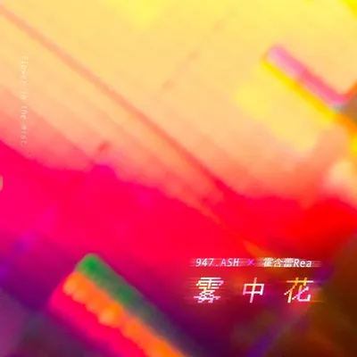 霧中花 專輯封面